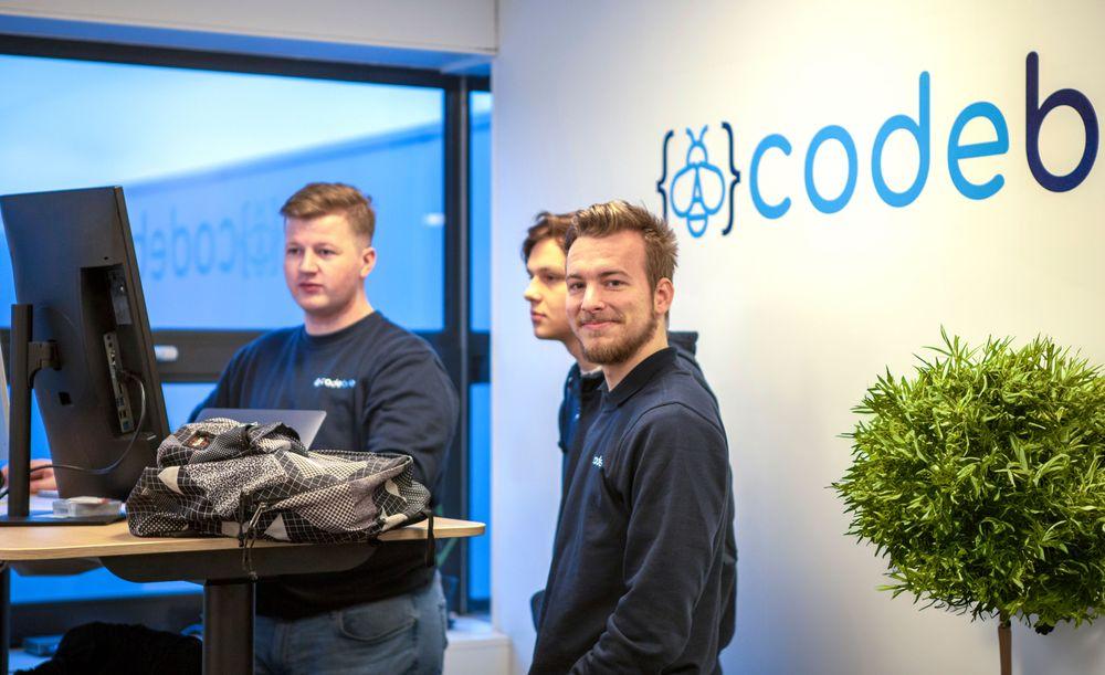 CodeBee team